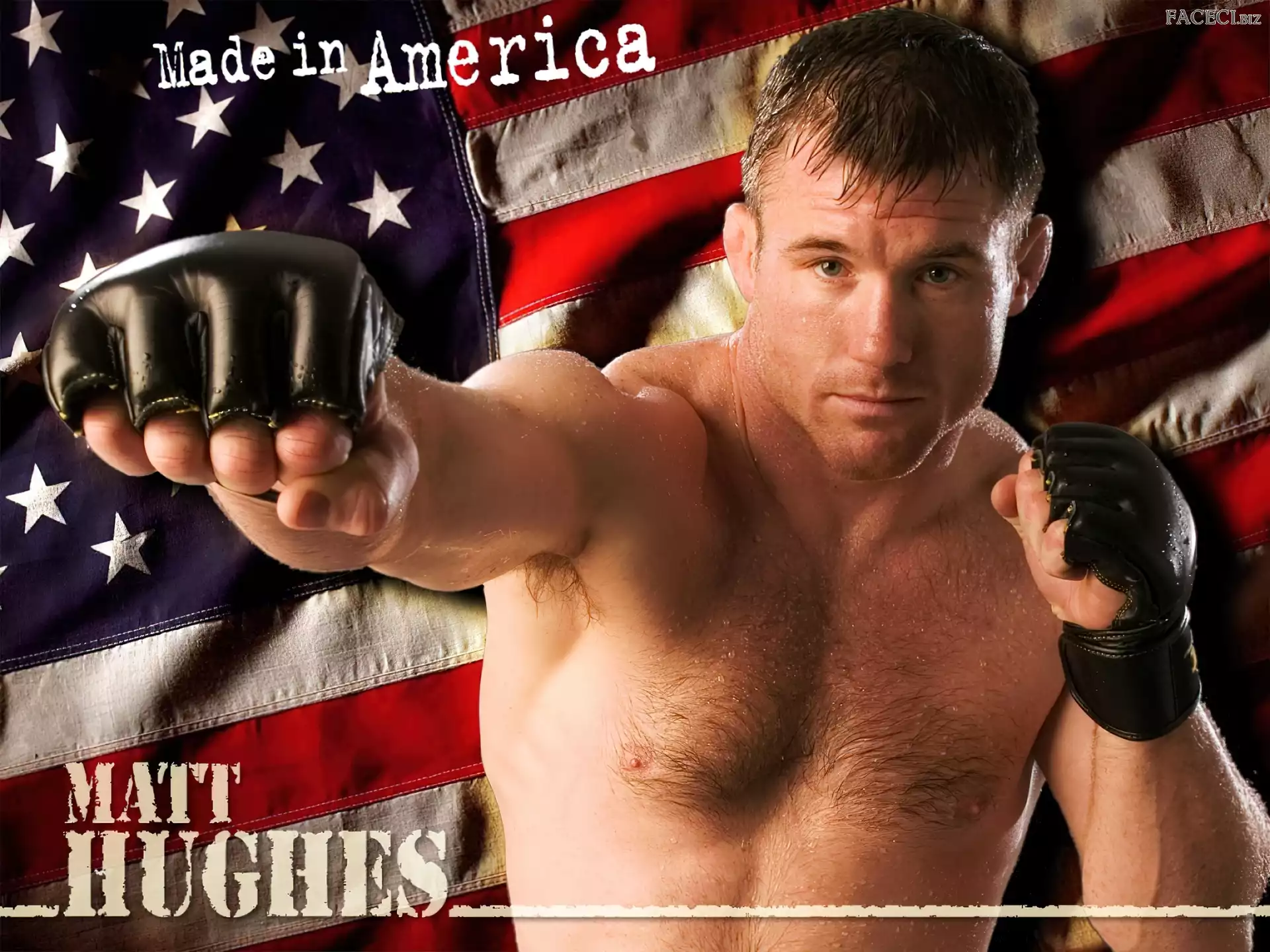 Matt Hughes, MMA
